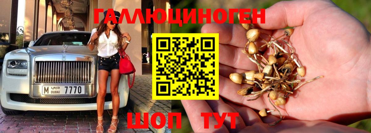 Галлюциногенные грибы Psilocybine cubensis  Вход с VPN  Бузулук  Псилоцибиновые грибы Magic Shrooms 